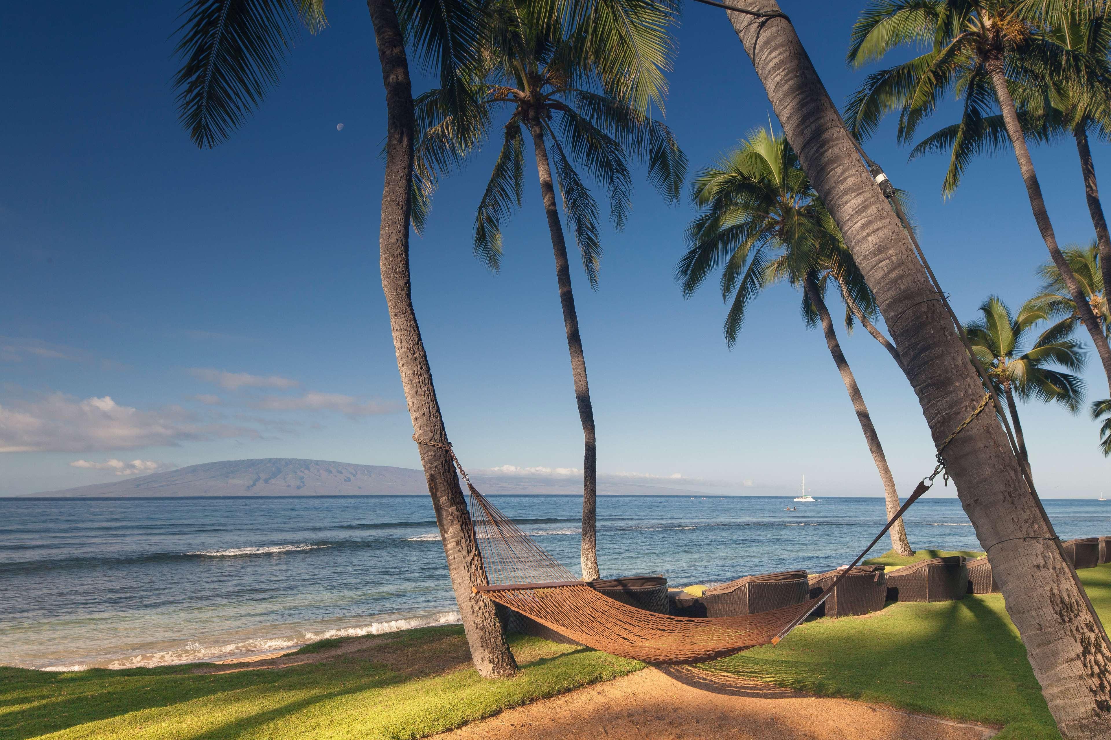 Hyatt Regency Maui Resort & Spa Lahaina Kültér fotó